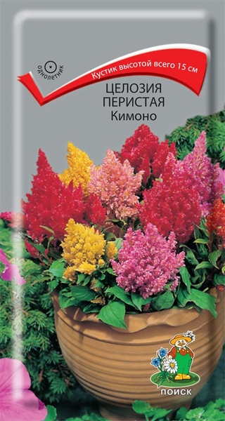 Целозия_Кимоно см (перистая)_0,1_г._Поиск