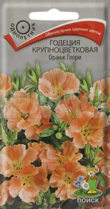 Годеция_Оранж Глори_0,04_г._Поиск