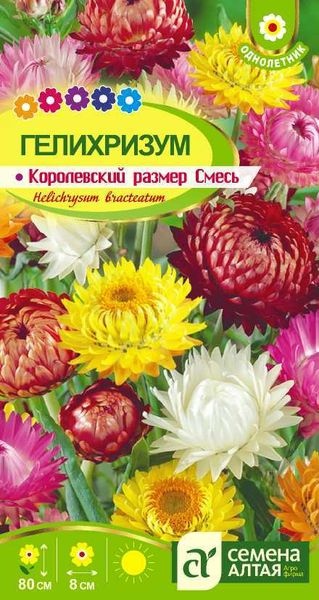 Гелихризум (бессмертник)_Королевский размер см (Сухоцветы)_0,2_г._Семена Алтая