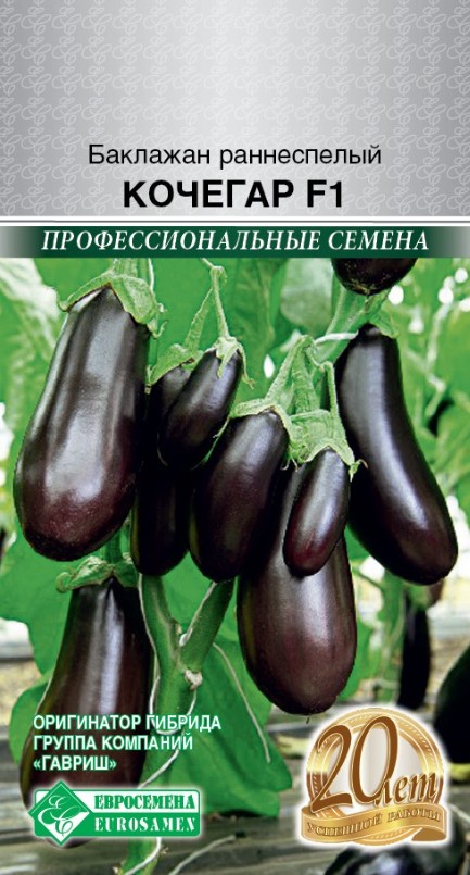 Баклажан_Кочегар F1 (проф)_3_шт._ЕВРОСЕМЕНА