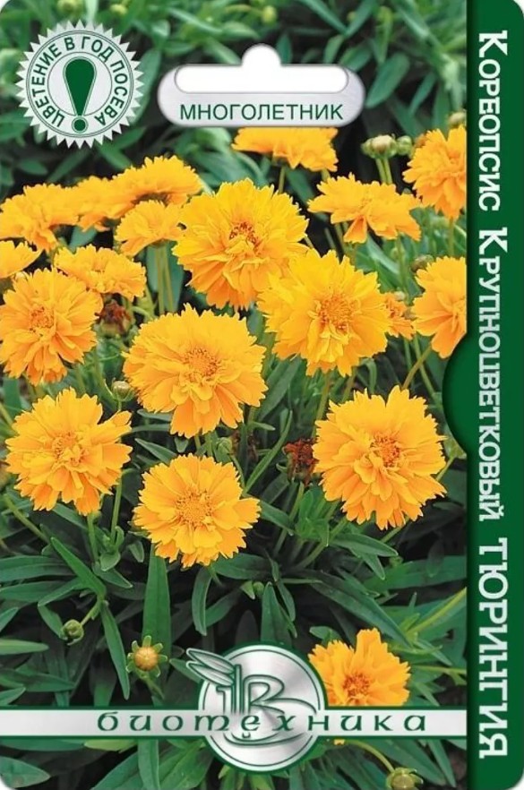 Кореопсис_Тюрингия_10_шт._Биотехника