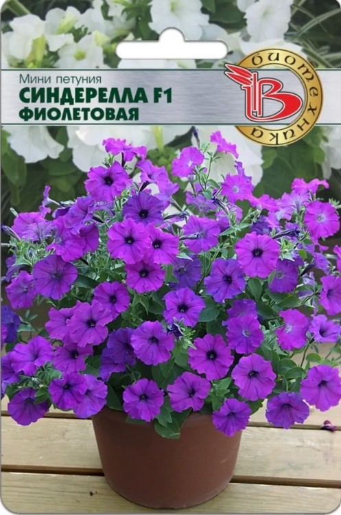 Петуния_Синдерелла F1 Фиолетовая (мини)_15_шт._Биотехника
