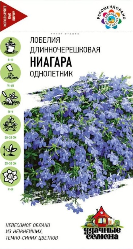 Лобелия_Ниагара (амп) Уд. с._0,01_г._Гавриш