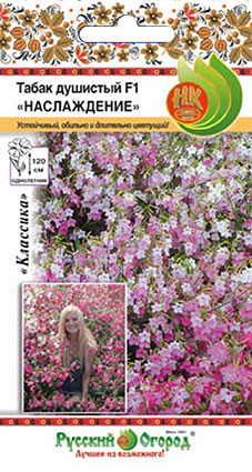 Табак душистый_Наслаждение F1_15_шт._НК