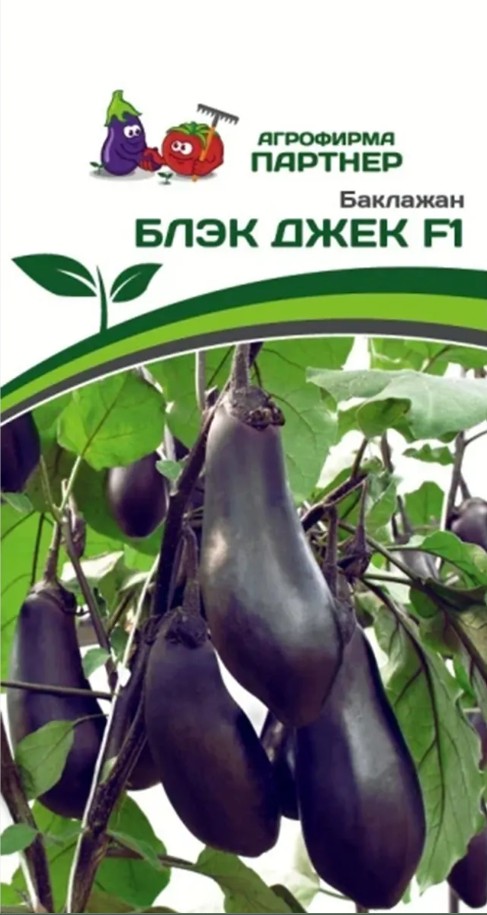 Баклажан_Блэк Джек F1_10_шт._Партнер