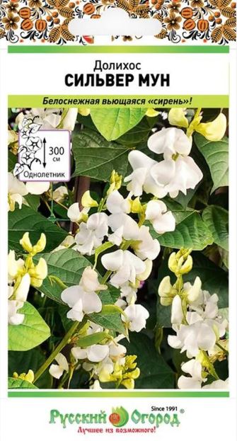 Бобы_Гиацинтовые (долихос) Сильвер Мун_0,04_шт._НК