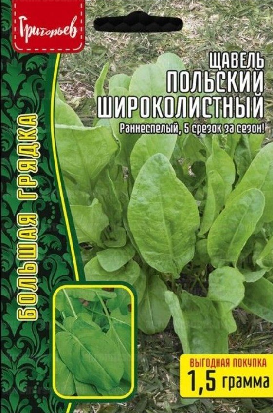 Щавель_Польский широколистный б/ф_1,5_г._Григорьев