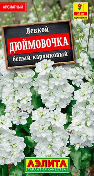 Левкой (маттиола)_Дюймовочка белый_0,1_г._Аэлита