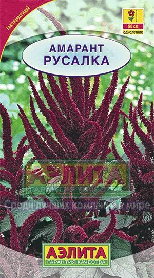 Амарант_Русалка (метельчатый темнолистный)_0,3_г._Аэлита