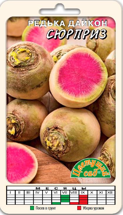 Дайкон_Сюрприз (красный внутри)_0,04_г._Цветущий Сад