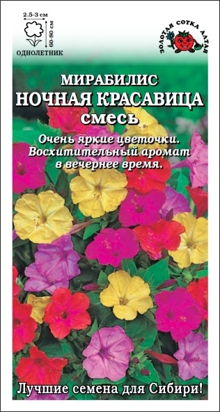 Мирабилис_Ночная Красавица см_1_г._Золотая Сотка Алтая