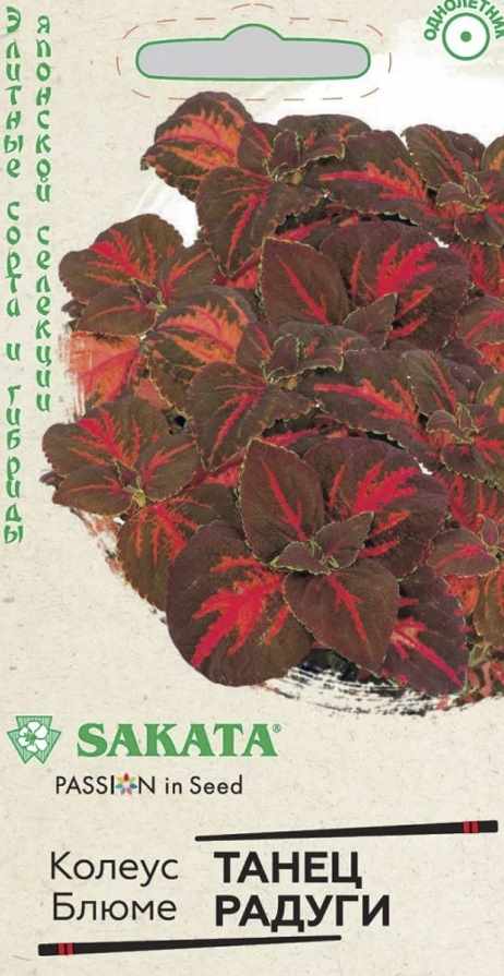Колеус_Танец Радуги (Sakata)_0,04_шт._Гавриш