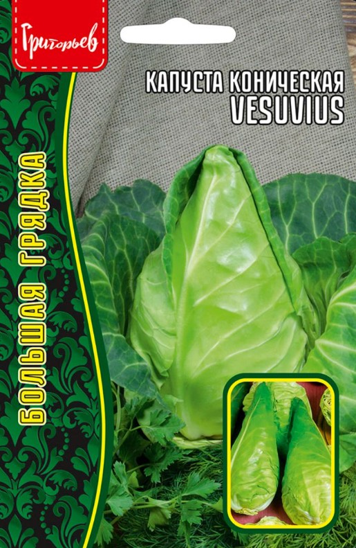 Капуста_б/к_Коническая б/ф_0,2_г._Григорьев