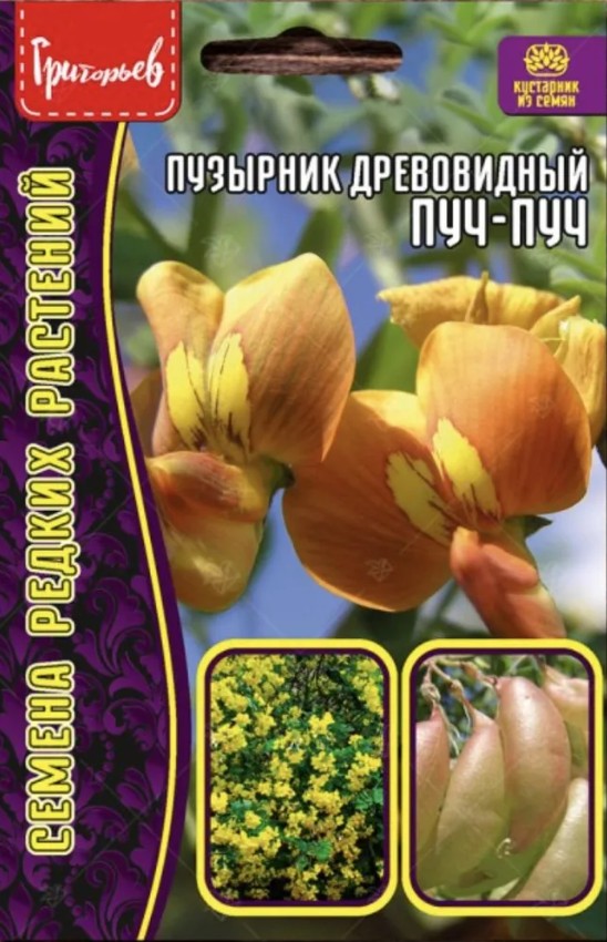 Пузырник_Пуч-Пуч (древовидный) б/ф_15_шт._Григорьев
