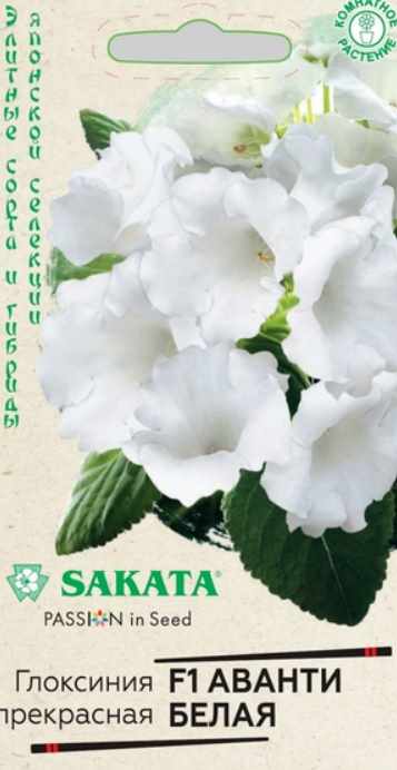 Глоксиния_Аванти Белая (Sakata)_0,04_шт._Гавриш