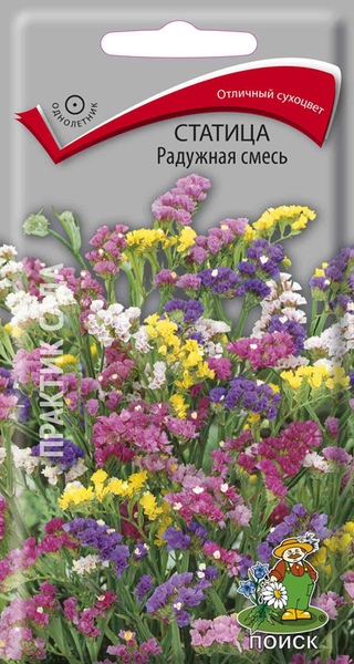 Статица (лимониум)_Радужная см_0,1_г._Поиск