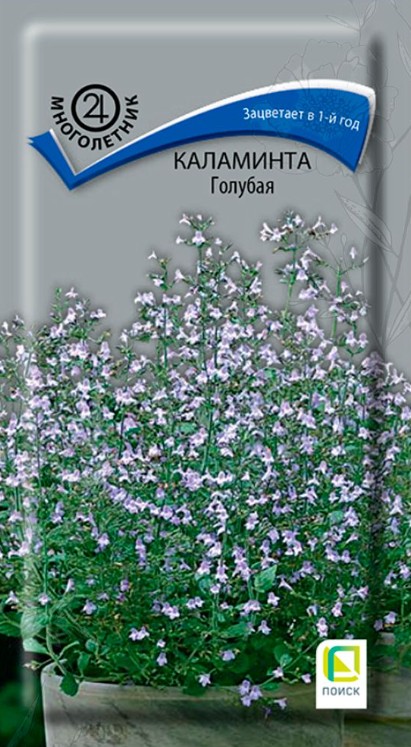 Душевик (каламинта)_Голубая_0,05_г._Поиск