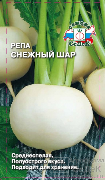 Репа_Снежный шар_1_г._Седек