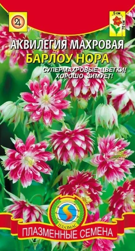 Аквилегия (водосбор)_Нора Барлоу (махровая)_0,04_шт._Плазменные семена