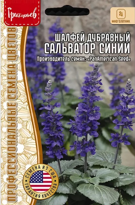 Сальвия (шалфей)_Сальватор Синий (дубравный) б/ф_6_шт._Григорьев