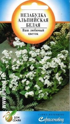 Незабудка_Белая_100_шт._Дом Семян С-П