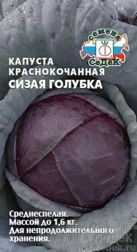 Капуста_кр/к_Сизая Голубка (ср)_0,04_г._Седек