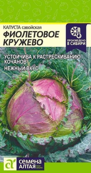 Капуста_савойская_Фиолетовое кружево_0,3_г._Семена Алтая