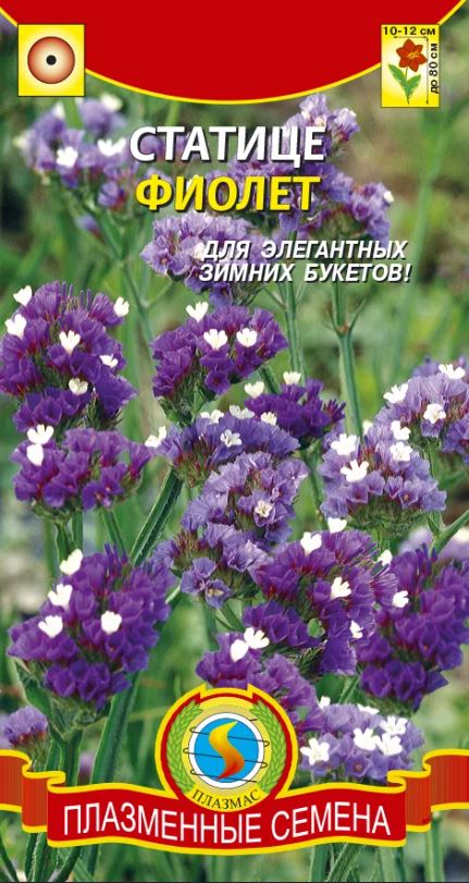 Статица (лимониум)_Фиолет_0,04_г._Плазменные семена