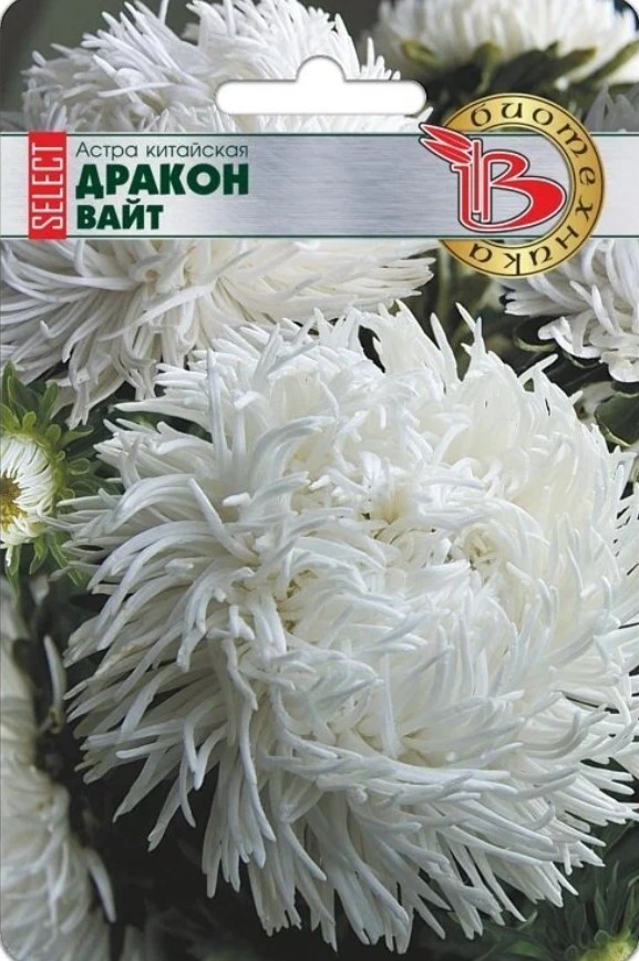 Астра_Дракон Селект Вайт (хризантемовидная)_30_шт._Биотехника