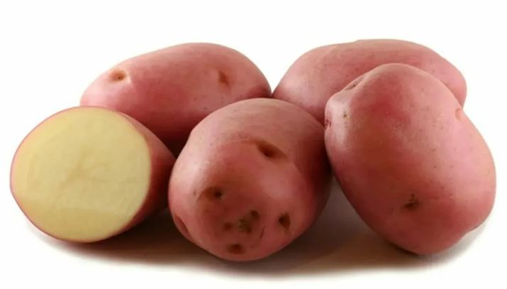 Ред Леди репродукция ( сетка 2кг ) кг