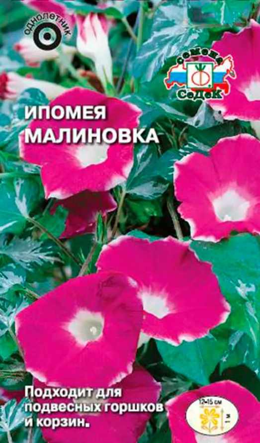 Ипомея_Малиновка (малиново-красная с белой каймой)_0,04_г._Седек