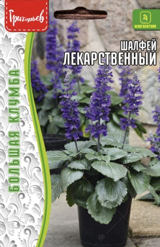 Шалфей_Лекарственный б/ф_0,02_г._Григорьев