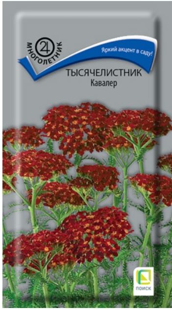 Ахиллея (тысячелистник)_Кавалер (красный)_0,1_г._Поиск