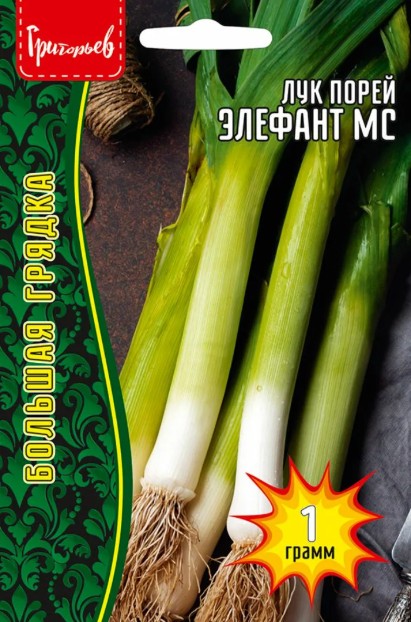 Лук_Элефант МС порей б/ф_1_г._Григорьев
