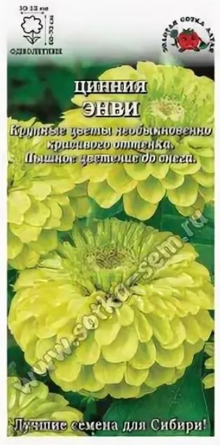 Цинния_Энви_0,3_г._Золотая Сотка Алтая