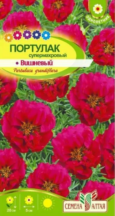 Портулак_Супермахровый Вишневый_0,04_г._Семена Алтая