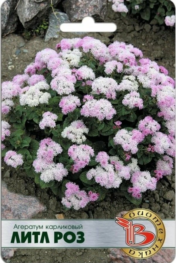 Агератум_Литл Роз_200_шт._Биотехника