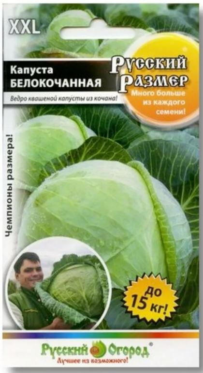 Капуста_кольраби_Русский размер_50_шт._НК