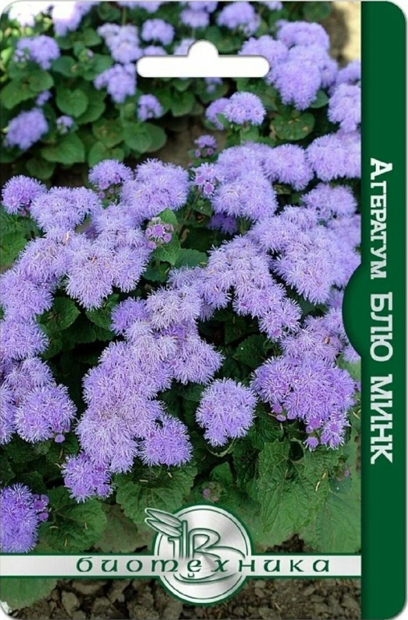Агератум_Блю Минк_300_шт._Биотехника