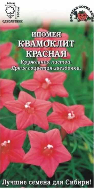 Ипомея_Красная (квамоклит)_0,04_г._Золотая Сотка Алтая