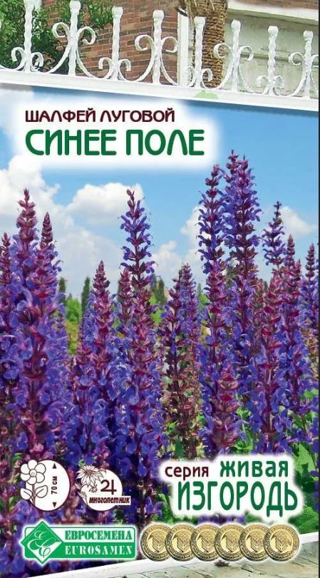 Сальвия (шалфей)_Синее Поле (Живая Изгородь)_0,04_г._ЕВРОСЕМЕНА