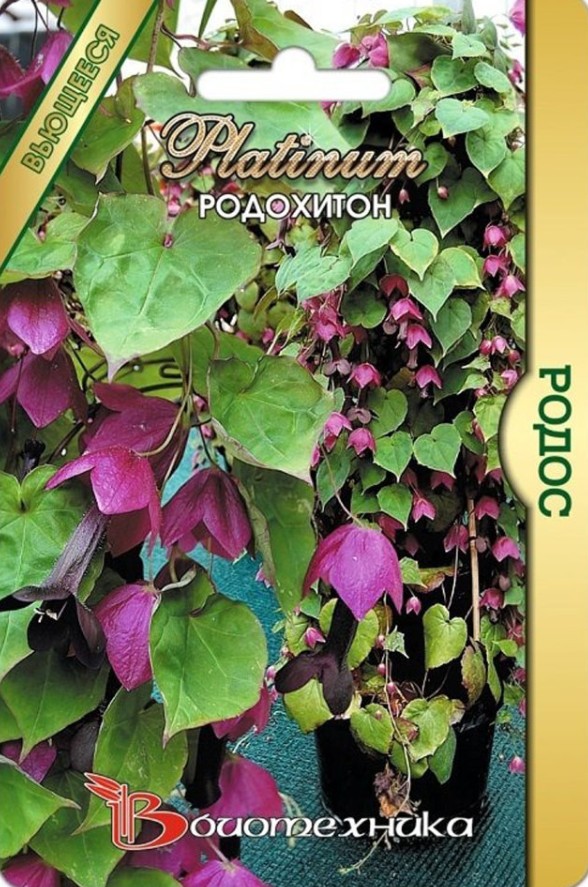 Родохитон_Родос_5_шт._Биотехника