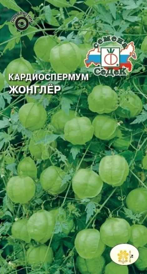 Кардиоспермум_Жонглер (халикакабский, цветки белые, завязи сердцевидные)_0,04_г._Седек