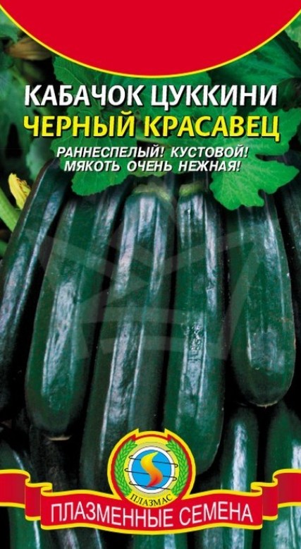 Кабачок_Черный красавец (цуккини)_10_шт._Плазменные семена
