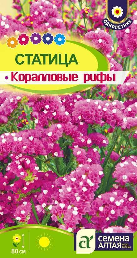Статица (лимониум)_Розовая Коралловые Рифы_0,1_г._Семена Алтая