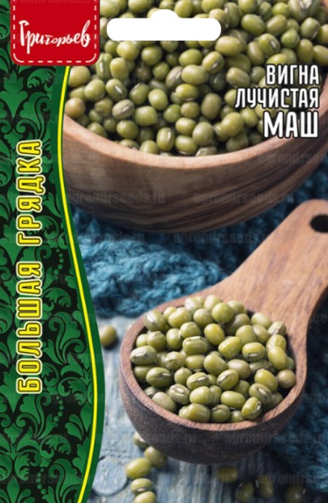 Фасоль_Вигна Маш (лучистая) б/ф_10_г._Григорьев