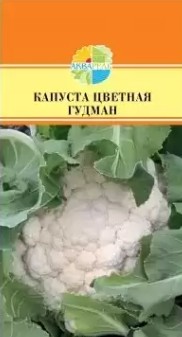 Капуста_цветная_Гудман F1_15_шт._Акварель