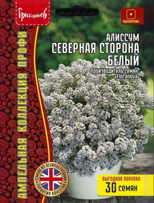 Алиссум (лобулярия)_Северная Сторона Белый (амп) б/ф_30_шт._Григорьев