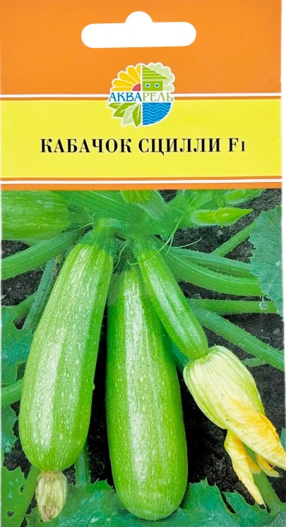 Кабачок_Сцилли F1_5_шт._Акварель