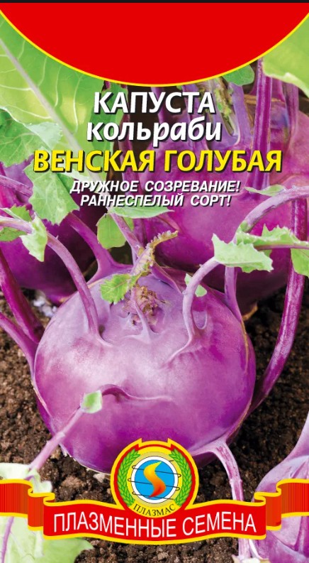 Капуста_кольраби_Венская Голубая_0,5_г._Плазменные семена
